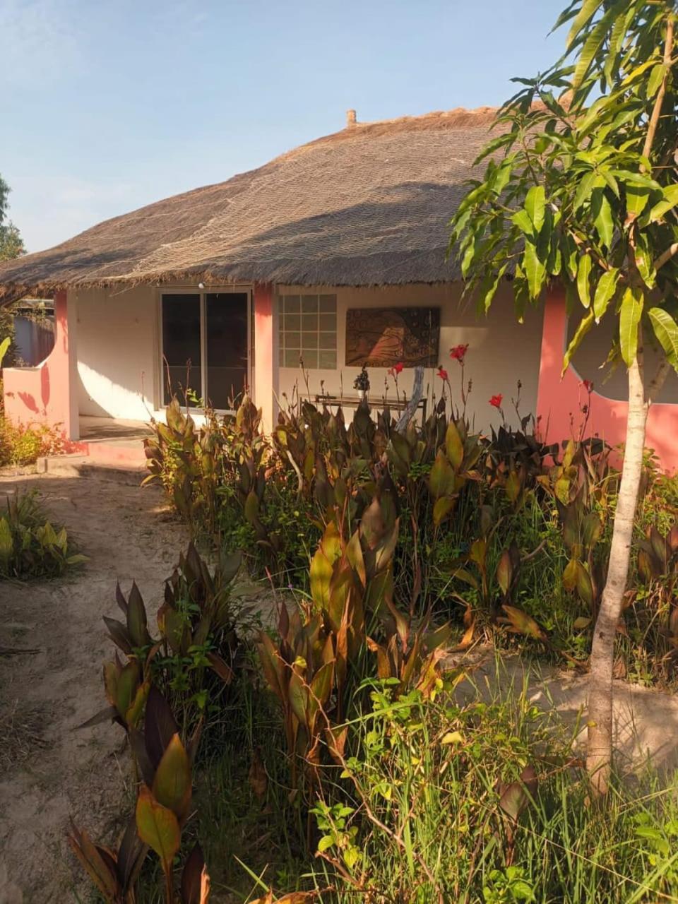 Campement Graine De Paradis Kachiouane エクステリア 写真